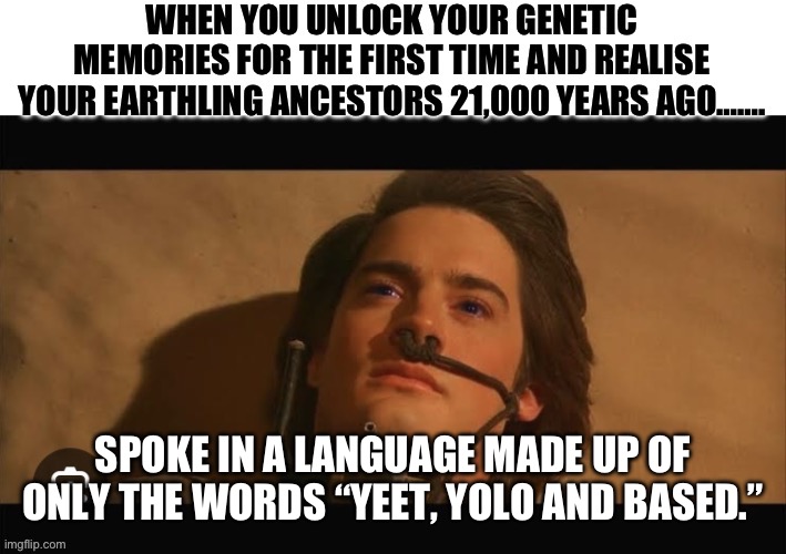 Paul Atreides Genetic Memory | SPOKE IN A LANGUAGE MADE UP OF ONLY THE WORDS “YEET, YOLO AND BASED.” | image tagged in paul atreides genetic memory | made w/ Imgflip meme maker