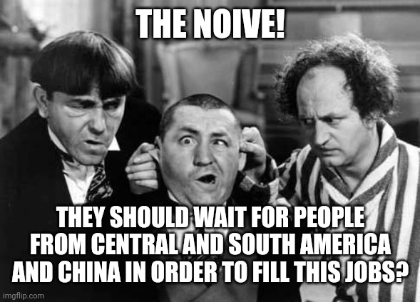 Three Stooges | THE NOIVE! THEY SHOULD WAIT FOR PEOPLE FROM CENTRAL AND SOUTH AMERICA AND CHINA IN ORDER TO FILL THIS JOBS? | image tagged in three stooges | made w/ Imgflip meme maker