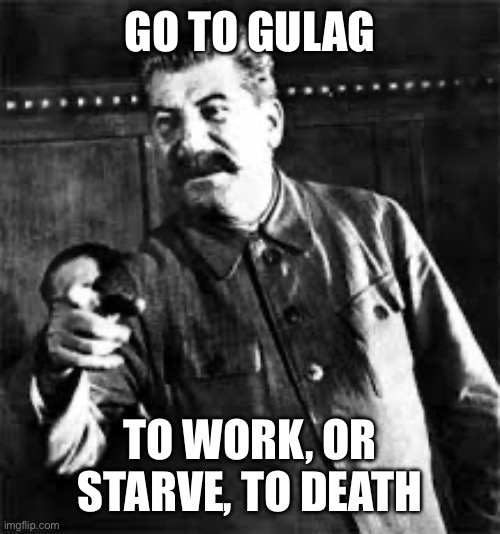 Gulag | GO TO GULAG; TO WORK, OR STARVE, TO DEATH | image tagged in joseph stalin go to gulag,gulag,work,starvation,death | made w/ Imgflip meme maker