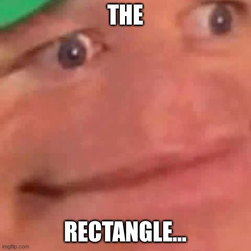 Wait Hol Up | THE RECTANGLE... | image tagged in wait hol up | made w/ Imgflip meme maker