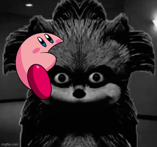 Sonc | image tagged in sonc,melon kirby | made w/ Imgflip meme maker