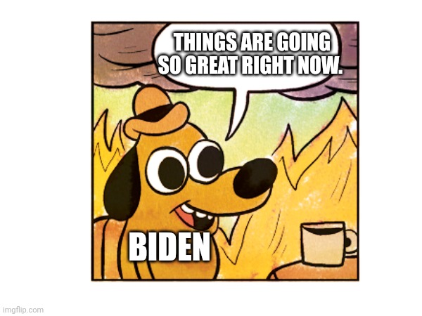 So great | THINGS ARE GOING SO GREAT RIGHT NOW. BIDEN | image tagged in this is fine | made w/ Imgflip meme maker