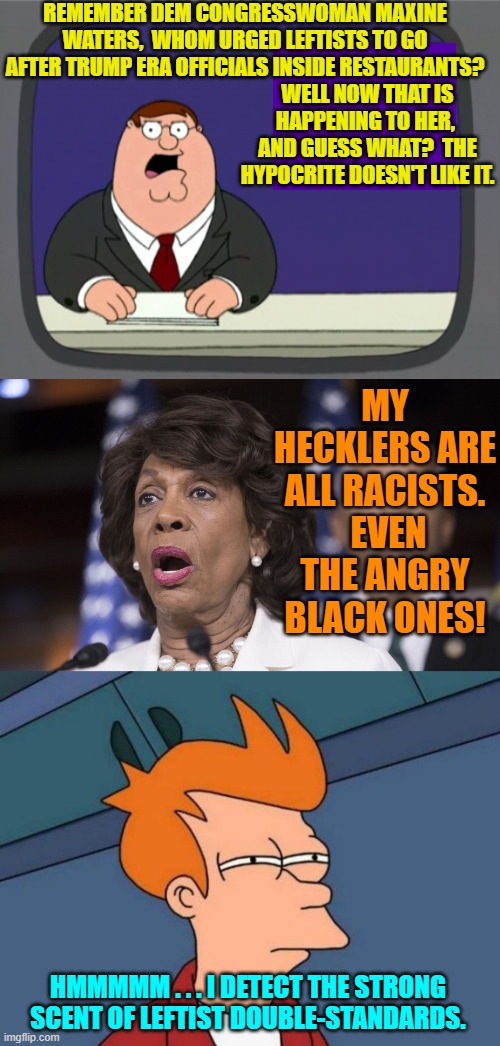 Maxine says . . . It's not supposed to happen to ME! | REMEMBER DEM CONGRESSWOMAN MAXINE WATERS,  WHOM URGED LEFTISTS TO GO AFTER TRUMP ERA OFFICIALS INSIDE RESTAURANTS? WELL NOW THAT IS HAPPENING TO HER,  AND GUESS WHAT?  THE HYPOCRITE DOESN'T LIKE IT. MY HECKLERS ARE ALL RACISTS.  EVEN THE ANGRY BLACK ONES! HMMMMM . . . I DETECT THE STRONG SCENT OF LEFTIST DOUBLE-STANDARDS. | image tagged in futurama fry | made w/ Imgflip meme maker