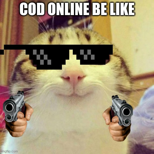 Smiling Cat Meme | COD ONLINE BE LIKE | image tagged in memes,smiling cat | made w/ Imgflip meme maker
