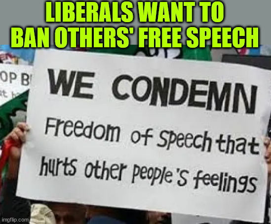 Free Speech is Not Selective Free Speech | LIBERALS WANT TO BAN OTHERS' FREE SPEECH | image tagged in liberal,free speech,oxymoron | made w/ Imgflip meme maker