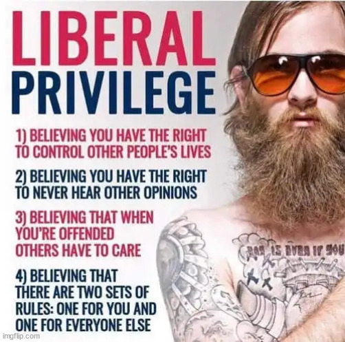 Liberal privilege | image tagged in liberal,privilege | made w/ Imgflip meme maker