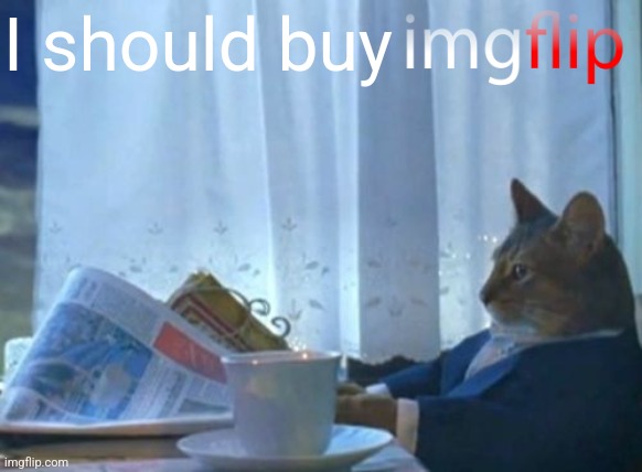 I Should Buy A Boat Cat Meme | I should buy | image tagged in memes,i should buy a boat cat | made w/ Imgflip meme maker