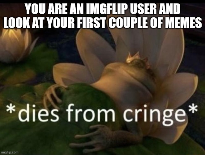 real | YOU ARE AN IMGFLIP USER AND LOOK AT YOUR FIRST COUPLE OF MEMES | image tagged in dies from cringe | made w/ Imgflip meme maker
