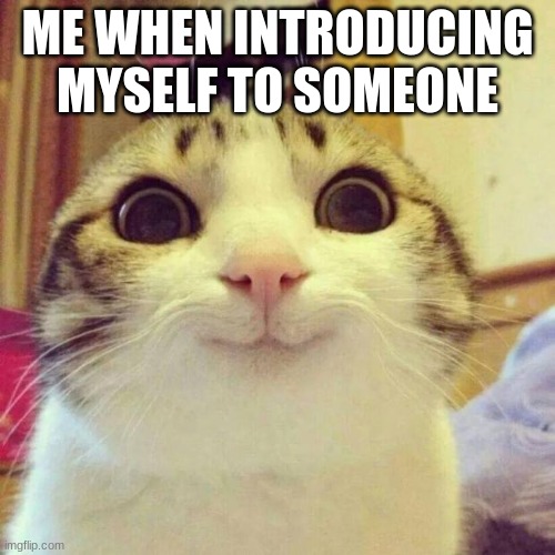 I'm new here. I am introducing myself by making this meme :) | ME WHEN INTRODUCING MYSELF TO SOMEONE | image tagged in memes,smiling cat | made w/ Imgflip meme maker