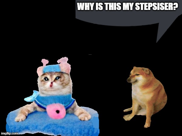Odd stepsister | WHY IS THIS MY STEPSISER? | image tagged in lol,cat,dog,why,news | made w/ Imgflip meme maker