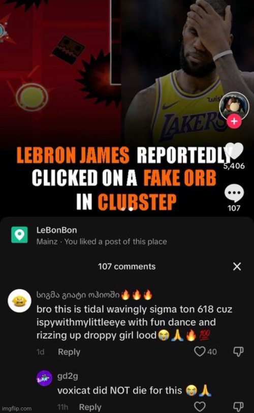 rip Voxicat dead at 11 | made w/ Imgflip meme maker