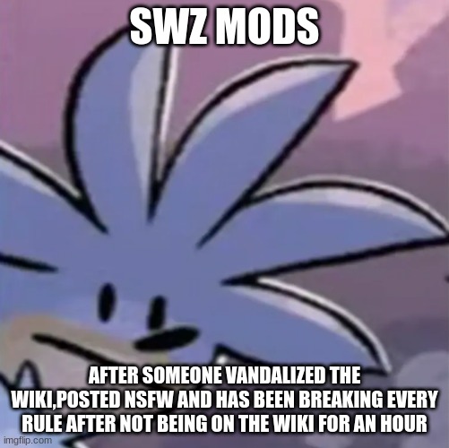 SWZ MODS; AFTER SOMEONE VANDALIZED THE WIKI,POSTED NSFW AND HAS BEEN BREAKING EVERY RULE AFTER NOT BEING ON THE WIKI FOR AN HOUR | made w/ Imgflip meme maker