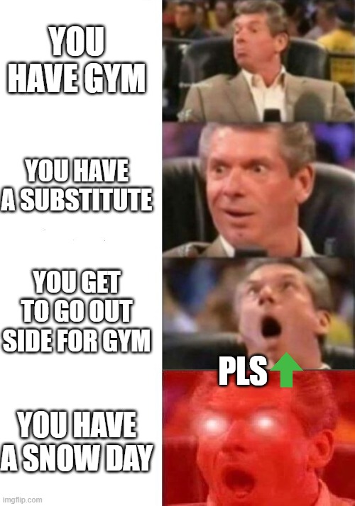School | YOU HAVE GYM; YOU HAVE A SUBSTITUTE; YOU GET TO GO OUT SIDE FOR GYM; PLS; YOU HAVE A SNOW DAY | image tagged in school,yay | made w/ Imgflip meme maker