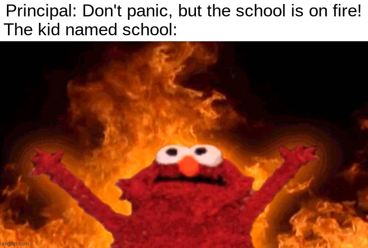 HALP | Principal: Don't panic, but the school is on fire! The kid named school: | image tagged in elmo fire,fire,school,aaaaaaaaaaaaaaaaaaaaaaaaaaa | made w/ Imgflip meme maker