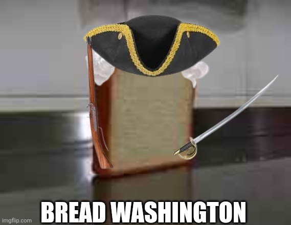Bread Washington | BREAD WASHINGTON | image tagged in history,absurd,george washington | made w/ Imgflip meme maker
