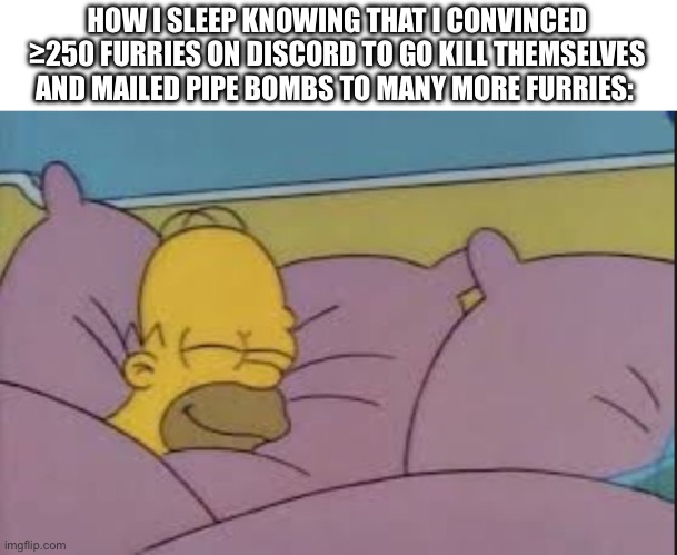 how i sleep homer simpson | HOW I SLEEP KNOWING THAT I CONVINCED ≥250 FURRIES ON DISCORD TO GO KILL THEMSELVES AND MAILED PIPE BOMBS TO MANY MORE FURRIES: | image tagged in how i sleep homer simpson | made w/ Imgflip meme maker