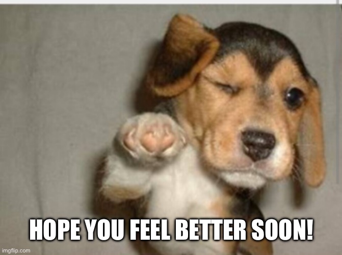 Feel better | HOPE YOU FEEL BETTER SOON! | image tagged in feel better | made w/ Imgflip meme maker
