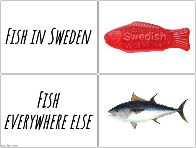 I'm no expert in the species, but somethings really fishy here... | Fish in Sweden; Fish everywhere else | image tagged in 4 boxes,muh fish,memes,fishy,hmmm,y u lookin at the tags | made w/ Imgflip meme maker