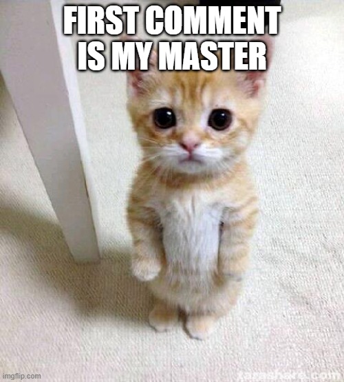 Cute Cat | FIRST COMMENT IS MY MASTER | image tagged in memes,cute cat | made w/ Imgflip meme maker