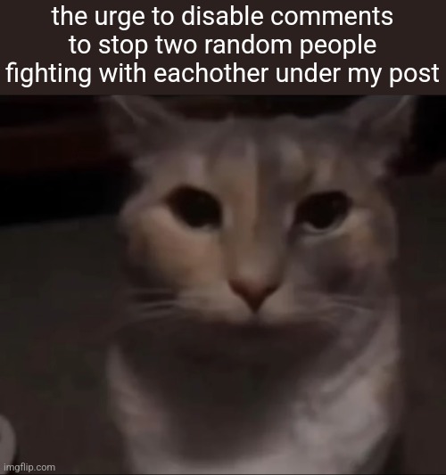 Peace is nice but it's entertaining this way | the urge to disable comments to stop two random people fighting with eachother under my post | made w/ Imgflip meme maker