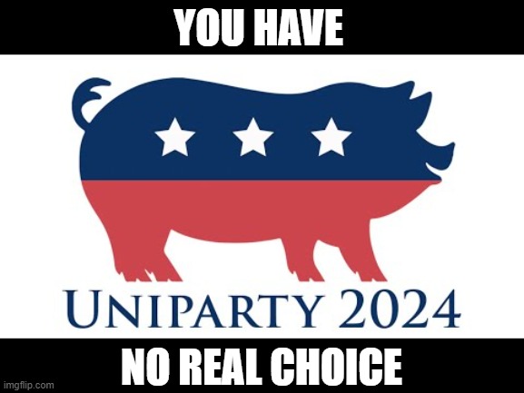 One Party Rule | YOU HAVE; NO REAL CHOICE | image tagged in democrat,republican | made w/ Imgflip meme maker