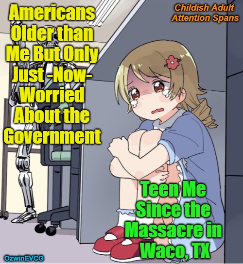 Childish Adult Attention Spans [NV] | Childish Adult 

Attention Spans; Americans 

Older than 

Me But Only 

Just -Now- 

Worried 

About the 

Government; Teen Me 

Since the 

Massacre in 

Waco, TX; OzwinEVCG | image tagged in anime girl hiding from terminator,memory,tyranny,awareness,rogue gov,late wake | made w/ Imgflip meme maker