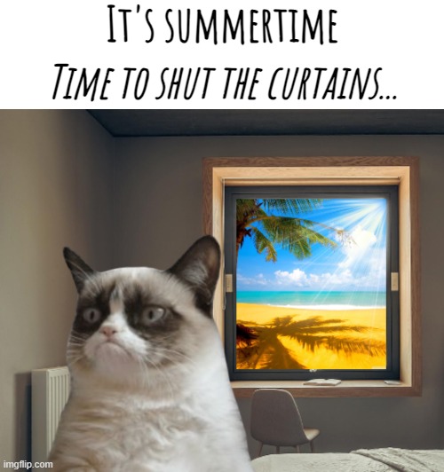 [This post was made and especially approved by the Wintertime enjoyers] | It's summertime; Time to shut the curtains... | image tagged in memes,grumpy cat,summer | made w/ Imgflip meme maker