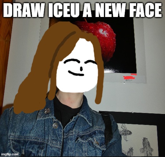 flattering, i know :3 | image tagged in draw iceu a new face | made w/ Imgflip meme maker