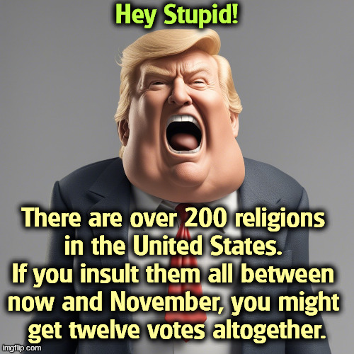 Bullying religious minorities is not generally a good way to get them on your side. | Hey Stupid! There are over 200 religions 
in the United States. 
If you insult them all between 
now and November, you might 
get twelve votes altogether. | image tagged in trump,insults,jews,religions,mental illness,dementia | made w/ Imgflip meme maker