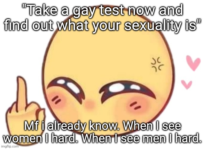 Fuck yoy | "Take a gay test now and find out what your sexuality is"; Mf i already know. When I see women I hard. When I see men I hard. | image tagged in fuck yoy | made w/ Imgflip meme maker