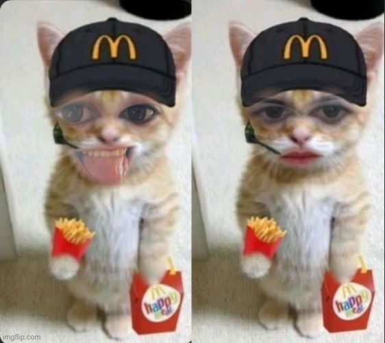 Silly mf vs serious mf | image tagged in silly vs serious mcdonalds cat | made w/ Imgflip meme maker