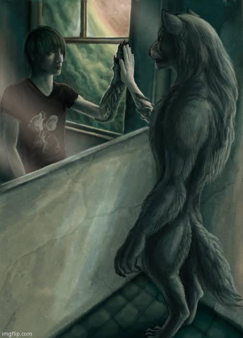 Wolf looking in mirror | image tagged in wolf looking in mirror | made w/ Imgflip meme maker