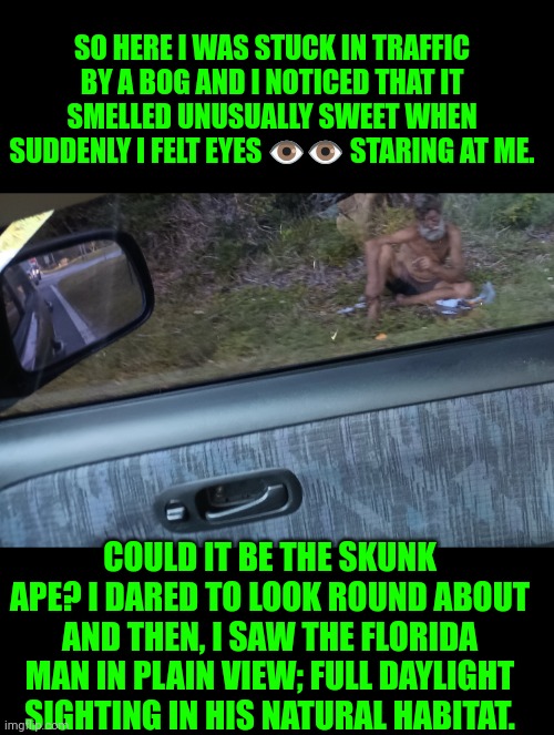 Funny | SO HERE I WAS STUCK IN TRAFFIC BY A BOG AND I NOTICED THAT IT SMELLED UNUSUALLY SWEET WHEN SUDDENLY I FELT EYES 👁️👁️ STARING AT ME. COULD IT BE THE SKUNK APE? I DARED TO LOOK ROUND ABOUT AND THEN, I SAW THE FLORIDA MAN IN PLAIN VIEW; FULL DAYLIGHT SIGHTING IN HIS NATURAL HABITAT. | image tagged in funny | made w/ Imgflip meme maker