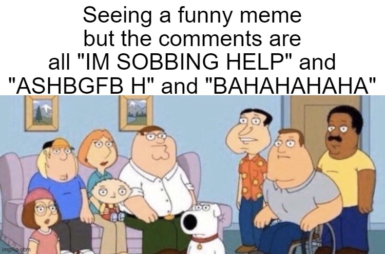 ruins the funniness of the original post tbh | Seeing a funny meme but the comments are all "IM SOBBING HELP" and "ASHBGFB H" and "BAHAHAHAHA" | image tagged in damn bro you got the whole squad laughing | made w/ Imgflip meme maker