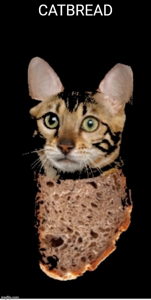 Catbread | CATBREAD | image tagged in catbread | made w/ Imgflip meme maker