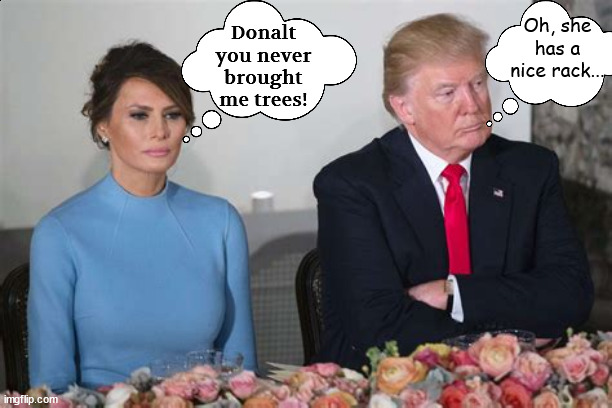 You don't bring me fowers or trees...anymore bum | Donalt you never brought me trees! Oh, she has a nice rack... | image tagged in cherry trees for biden,trunp gives a burial at deadminster,golf course,cheap skate,trophy wife | made w/ Imgflip meme maker