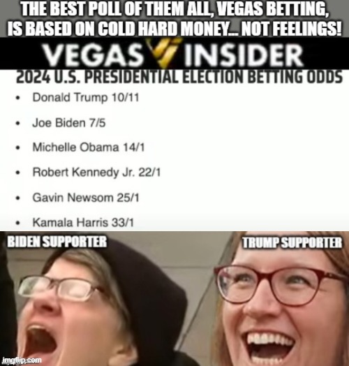 politics | image tagged in political meme | made w/ Imgflip meme maker