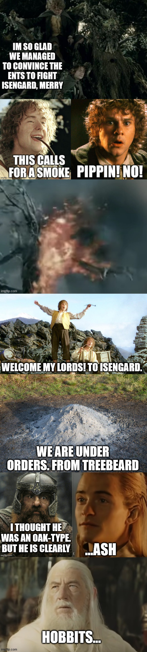 Hobbits | WELCOME MY LORDS! TO ISENGARD. WE ARE UNDER ORDERS. FROM TREEBEARD; ...ASH; I THOUGHT HE WAS AN OAK-TYPE. BUT HE IS CLEARLY; HOBBITS... | image tagged in hobbits,lord of the rings,merry and pippin,legolas,gandalf | made w/ Imgflip meme maker