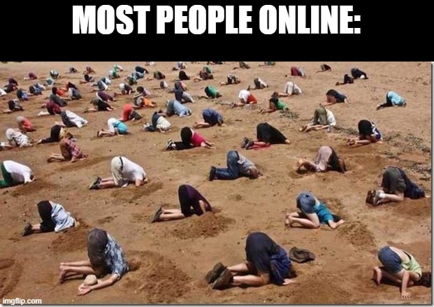 Head in sand | MOST PEOPLE ONLINE: | image tagged in head in sand | made w/ Imgflip meme maker