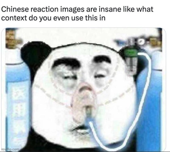 Damn | image tagged in memes,shitpost,panda,chinese,reaction | made w/ Imgflip meme maker