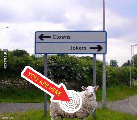 Clowns… jokers… with you/ewe | image tagged in ewe,clowns,joker,stuck,middle | made w/ Imgflip meme maker