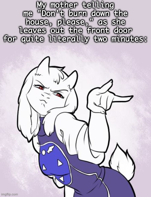 Toriel Stare Reaction Image | My mother telling me "Don't burn down the house, please," as she leaves out the front door for quite literally two minutes: | image tagged in toriel stare reaction image,mother,mom,funny,undertale,toriel | made w/ Imgflip meme maker