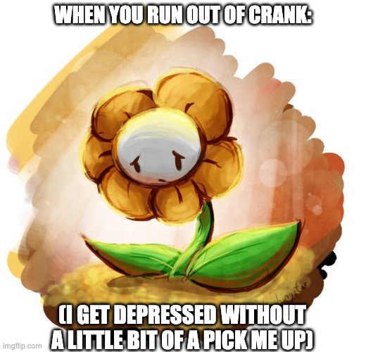 Flowey | WHEN YOU RUN OUT OF CRANK:; (I GET DEPRESSED WITHOUT A LITTLE BIT OF A PICK ME UP) | image tagged in flowey | made w/ Imgflip meme maker