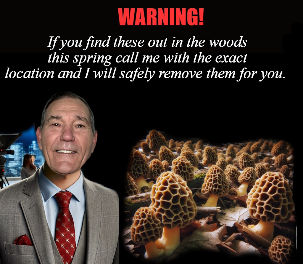 WARNING! If you find these out in the woods this spring call me with the exact location and I will safely remove them for you. | made w/ Imgflip meme maker