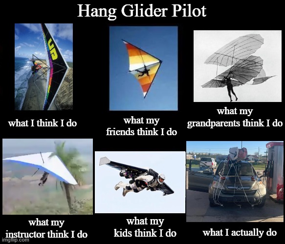 Hang Glider Pilot | Hang Glider Pilot; what my grandparents think I do; what my friends think I do; what I think I do; what my kids think I do; what my instructor think I do; what I actually do | image tagged in hang in there,flying,pilot | made w/ Imgflip meme maker