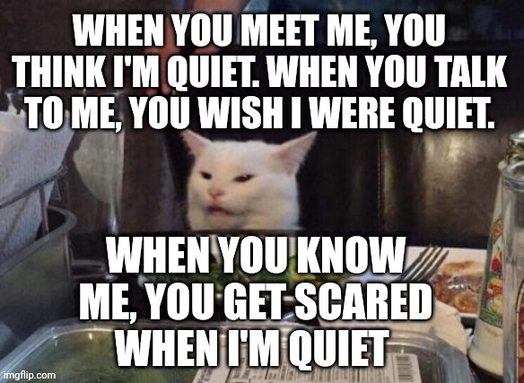 Smudge that darn cat | WHEN YOU MEET ME, YOU THINK I'M QUIET. WHEN YOU TALK TO ME, YOU WISH I WERE QUIET. WHEN YOU KNOW ME, YOU GET SCARED WHEN I'M QUIET | image tagged in smudge that darn cat | made w/ Imgflip meme maker