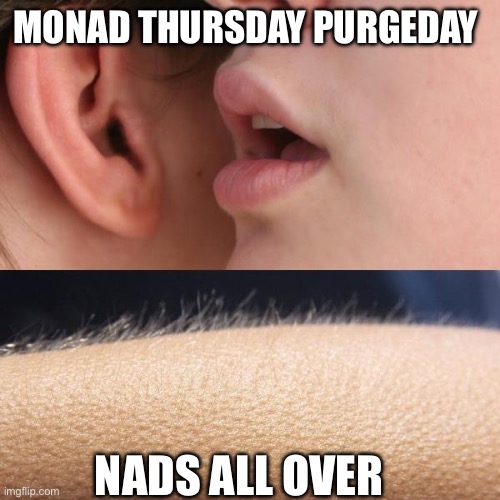 Monad | MONAD THURSDAY PURGEDAY; NADS ALL OVER | image tagged in whisper and goosebumps | made w/ Imgflip meme maker