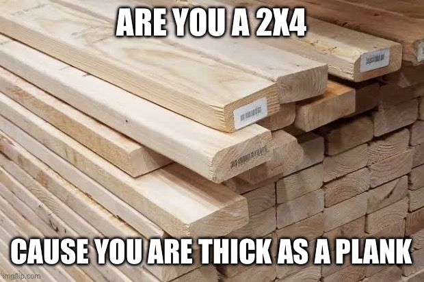 Thick as a plank | ARE YOU A 2X4; CAUSE YOU ARE THICK AS A PLANK | image tagged in you've been invited to dumbass university | made w/ Imgflip meme maker