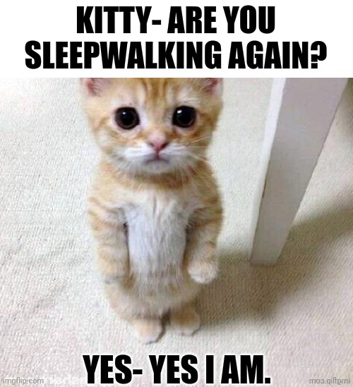 Hello Kitty. | KITTY- ARE YOU SLEEPWALKING AGAIN? YES- YES I AM. | image tagged in kitty cat,sleep | made w/ Imgflip meme maker