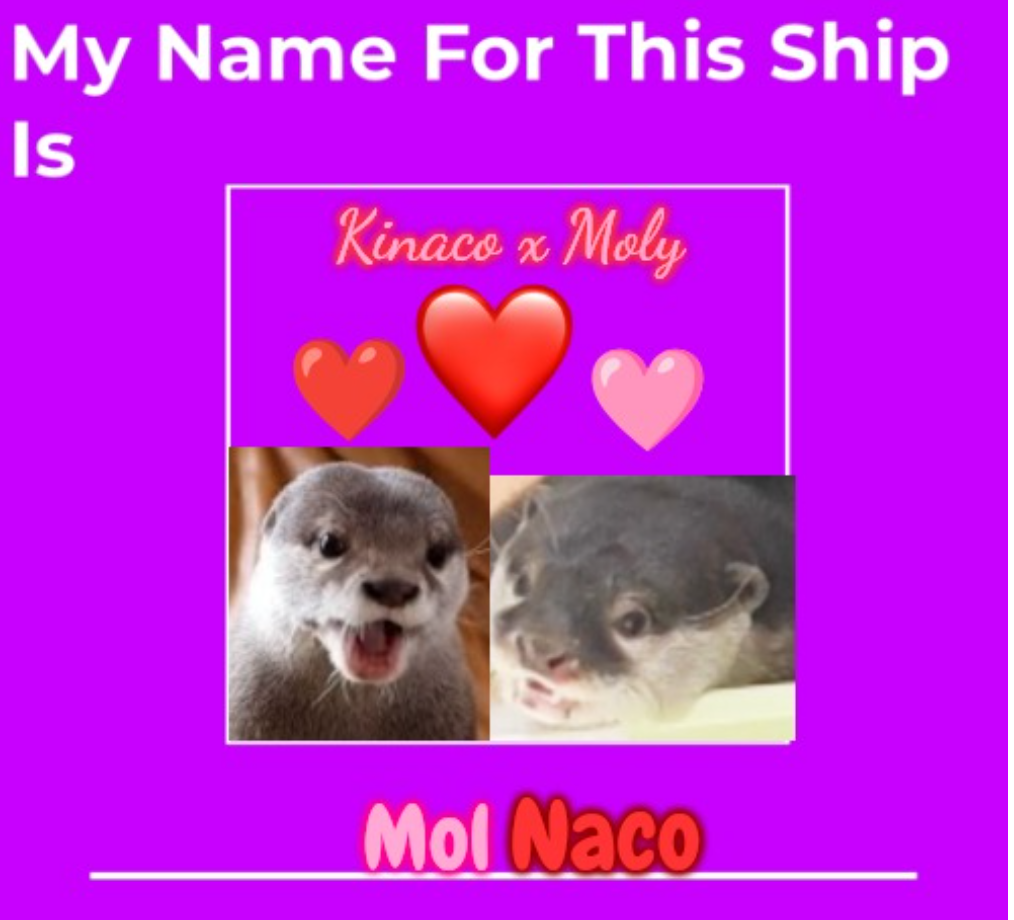 MolNaco Is The Best Ship (Kinaco x Moly) Blank Meme Template